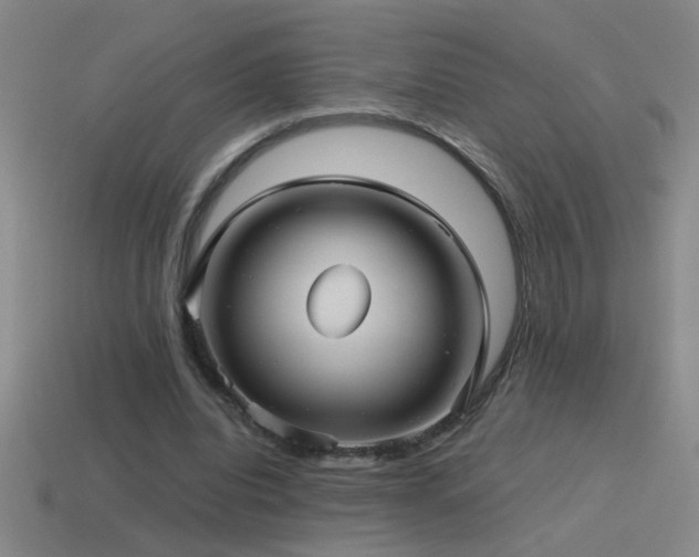 X0000115490440200911061310