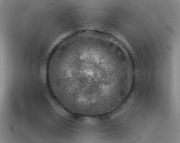 X0000115490442200911061310