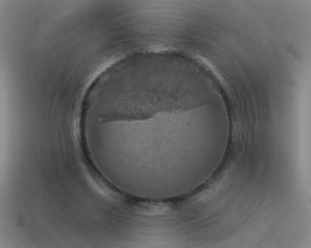 X0000115490443200911061310