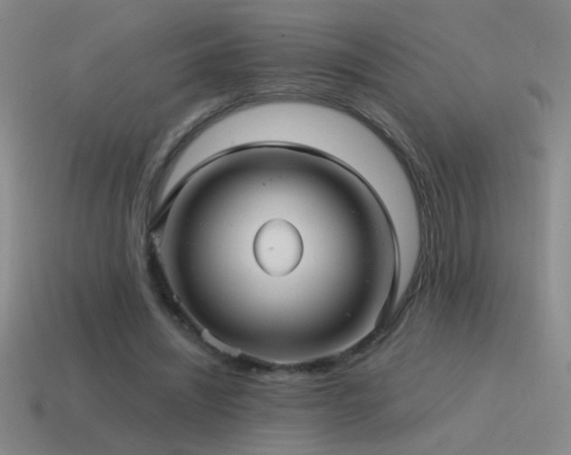 X0000115490444200911061310