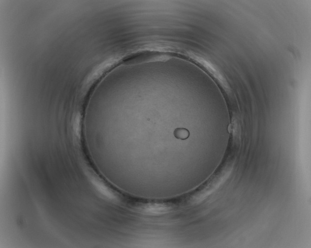 X0000115490445200911061310