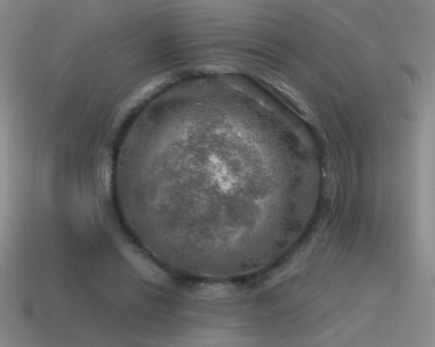 X0000115490446200911061310