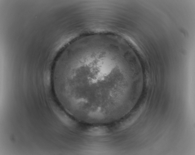 X0000115490447200911061310