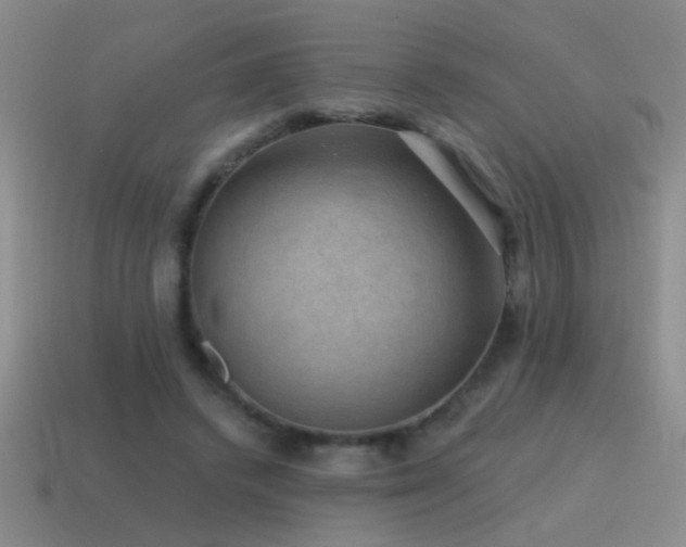 X0000115490448200911061310
