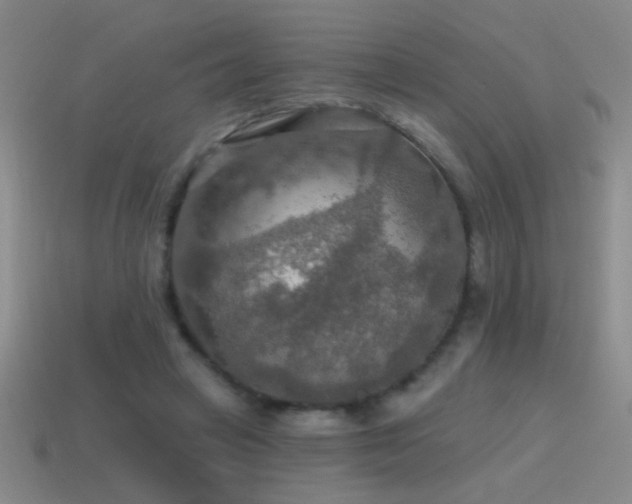 X0000115490449200911061310