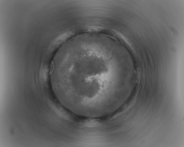 X0000115490451200911061310