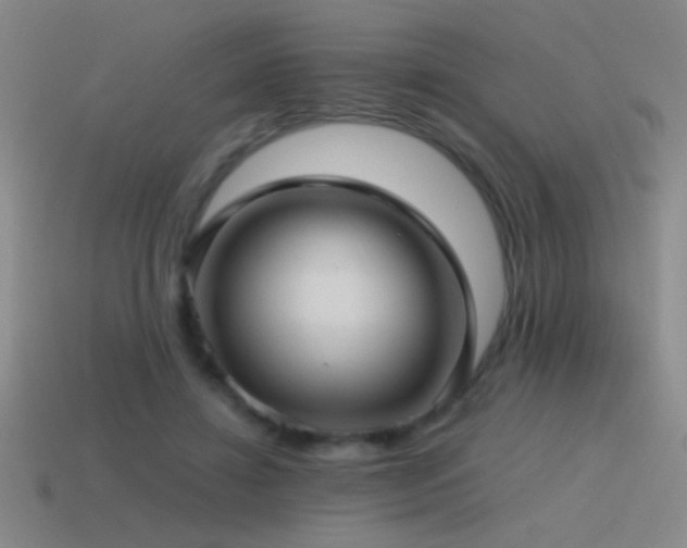 X0000115490452200911061310