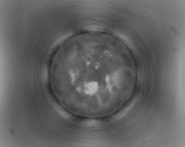 X0000115490453200911061310