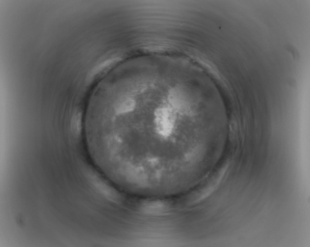 X0000115490454200911061310