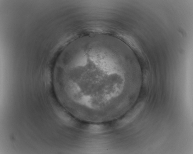 X0000115490457200911061310