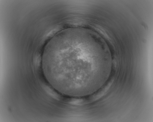 X0000115490458200911061310