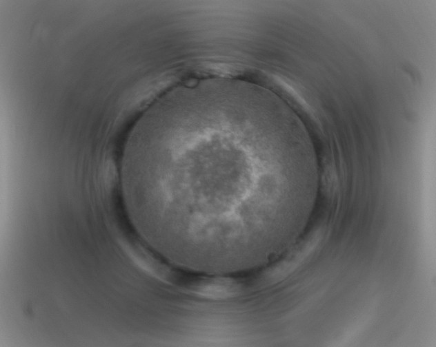X0000115490459200911061310