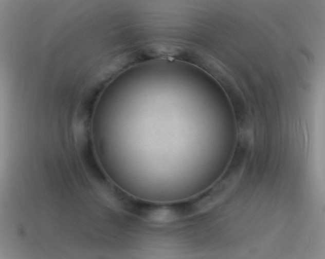 X0000115490460200911061310
