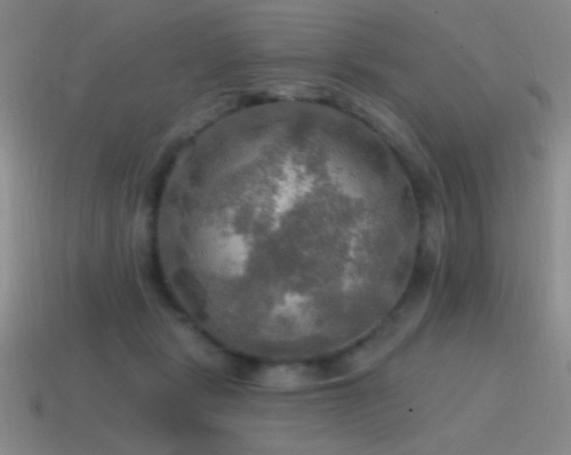 X0000115490461200911061310