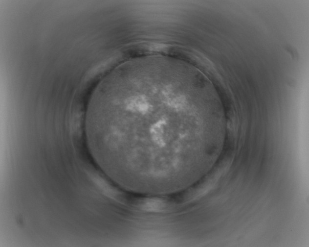 X0000115490462200911061310