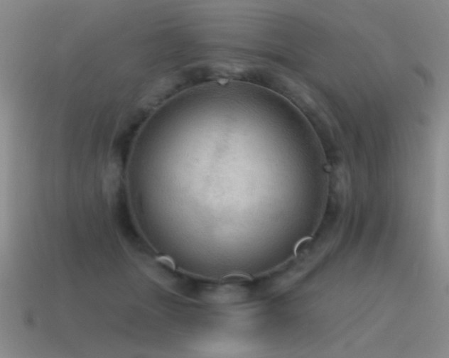X0000115490463200911061310