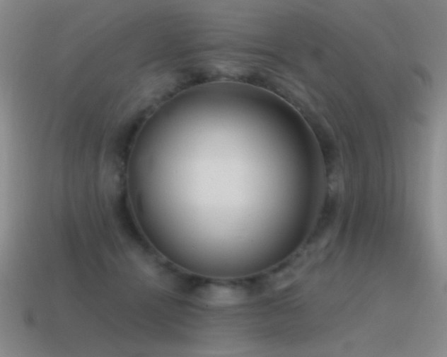 X0000115490464200911061310