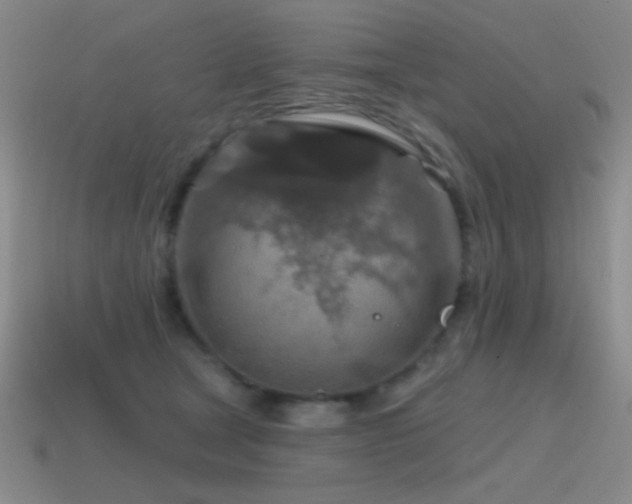 X0000115490465200911061310