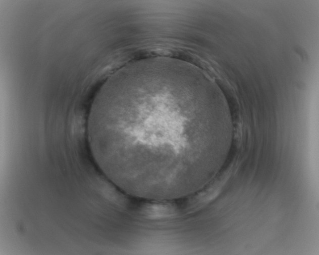 X0000115490466200911061310