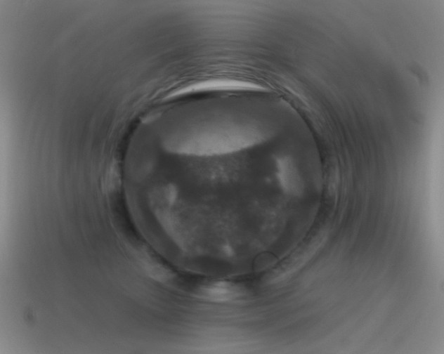 X0000115490467200911061310