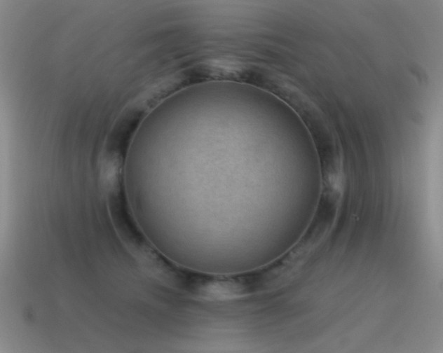 X0000115490468200911061310
