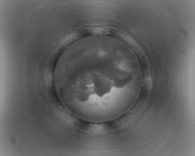 X0000115490469200911061310