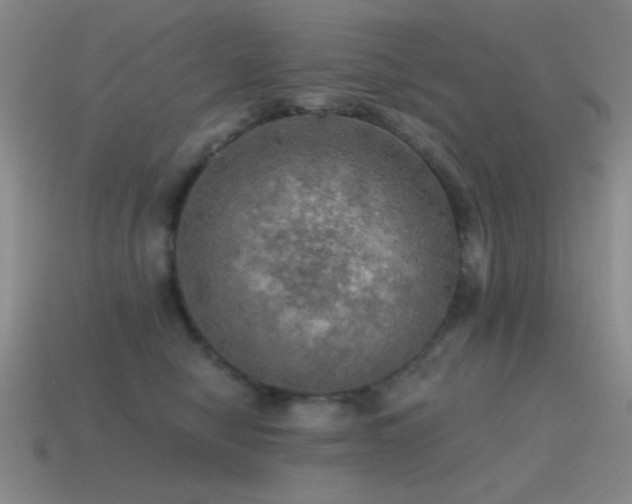 X0000115490470200911061310