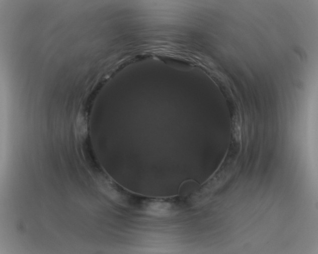 X0000115490471200911061310