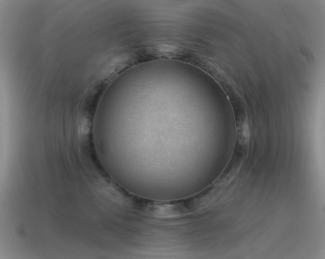 X0000115490472200911061310