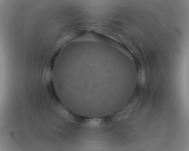 X0000115490474200911061310