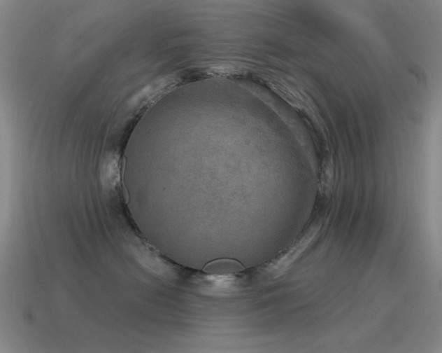 X0000115490478200911061310