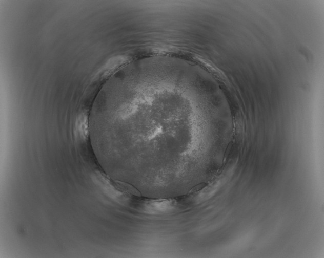 X0000115490479200911061310
