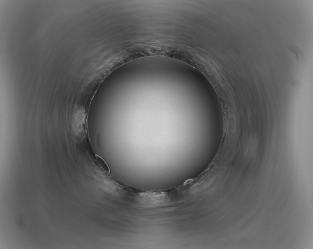 X0000115490480200911061310