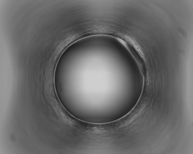 X0000115490481200911061310