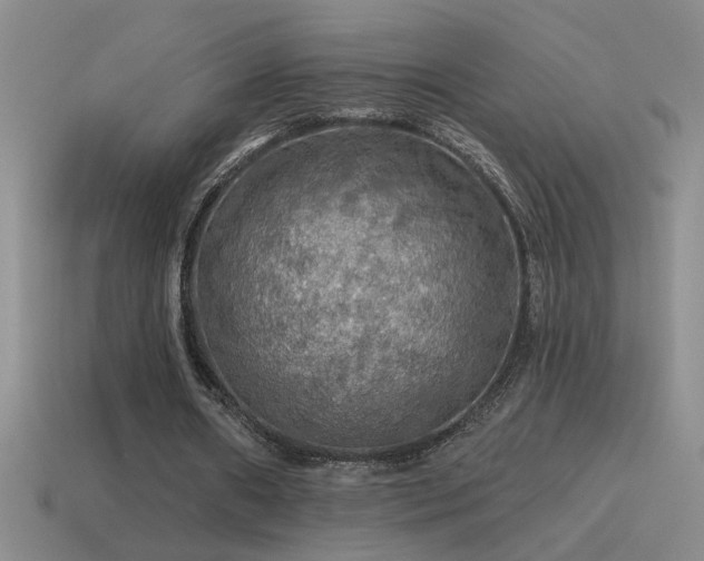X0000115490482200911061310