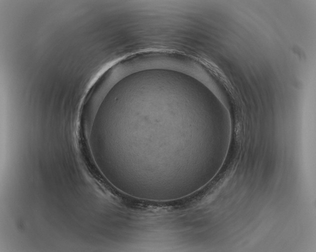 X0000115490484200911061310