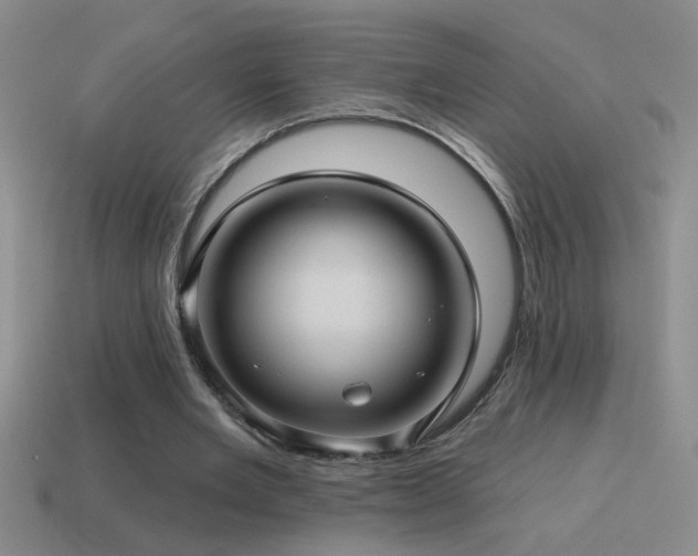 X0000115490485200911061310