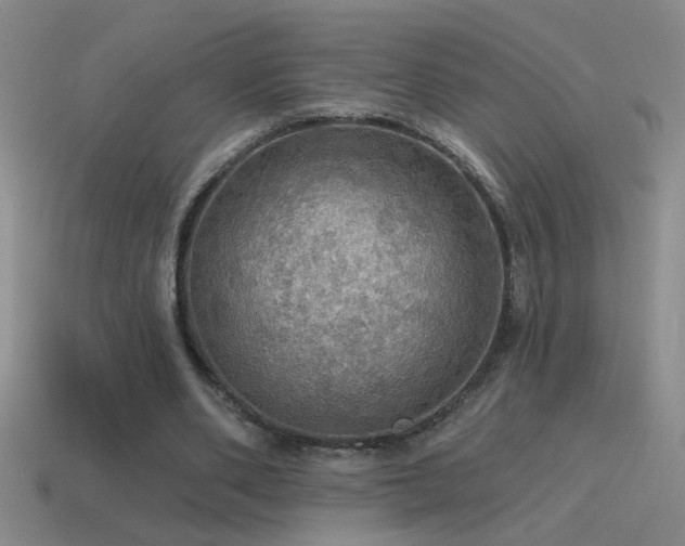 X0000115490486200911061310