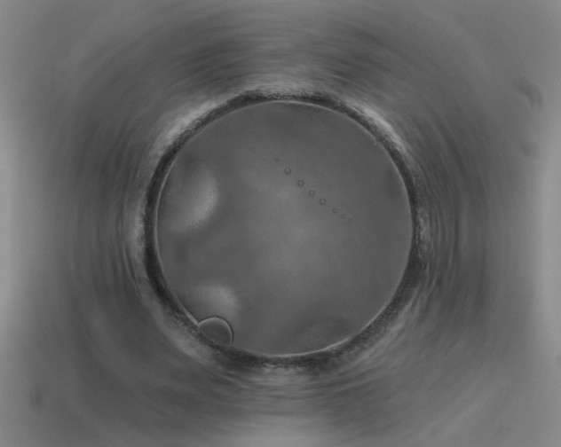 X0000115490487200911061310