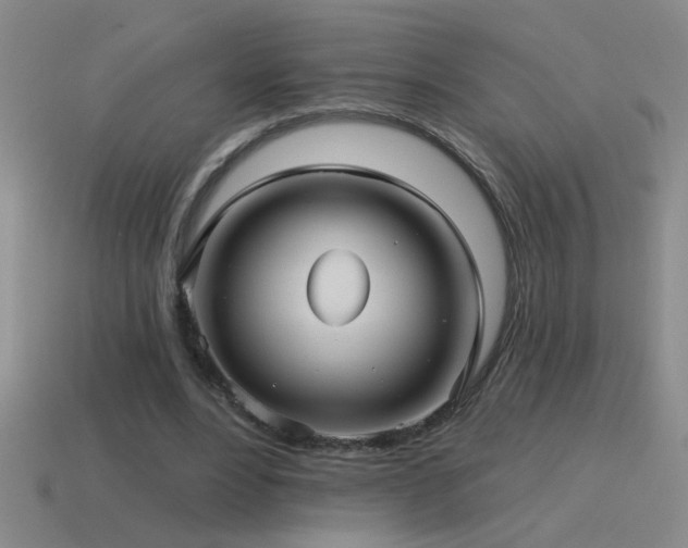 X0000115490488200911061310