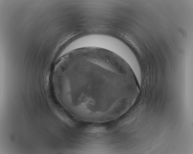 X0000115490491200911061310