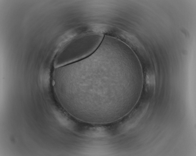 X0000115490492200911061310