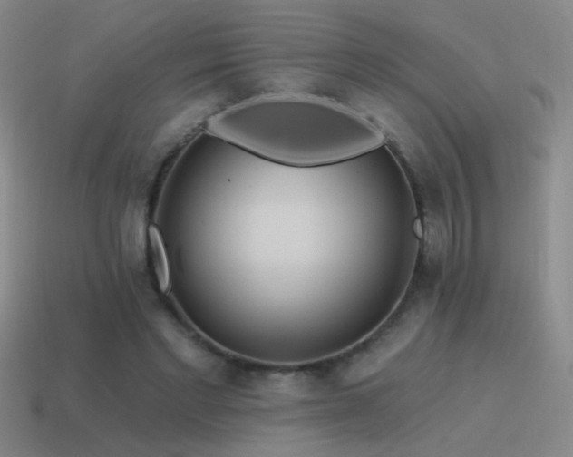 X0000115490493200911061310