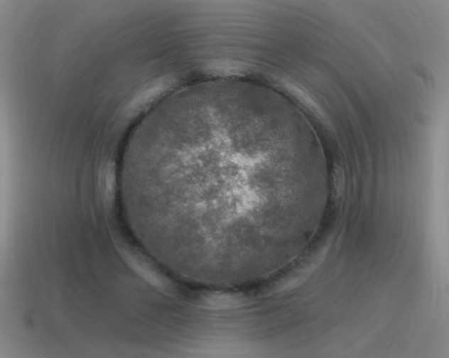 X0000115490494200911061310