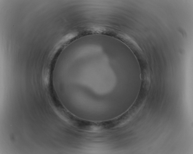 X0000115490496200911061310