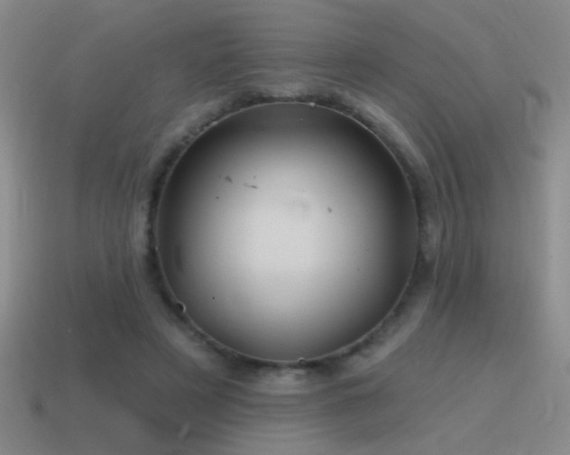 X0000115490497200911061310