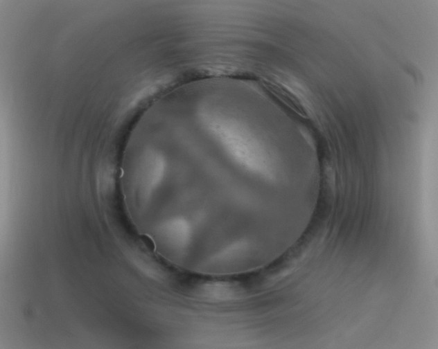 X0000115490499200911061310