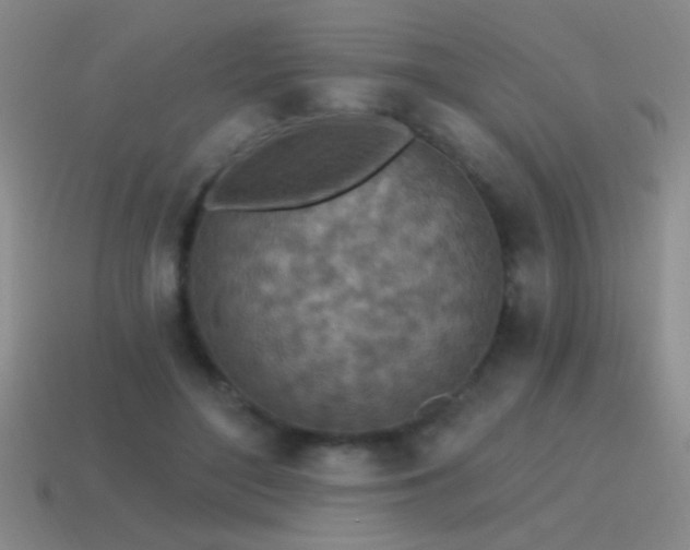 X0000115490500200911061310