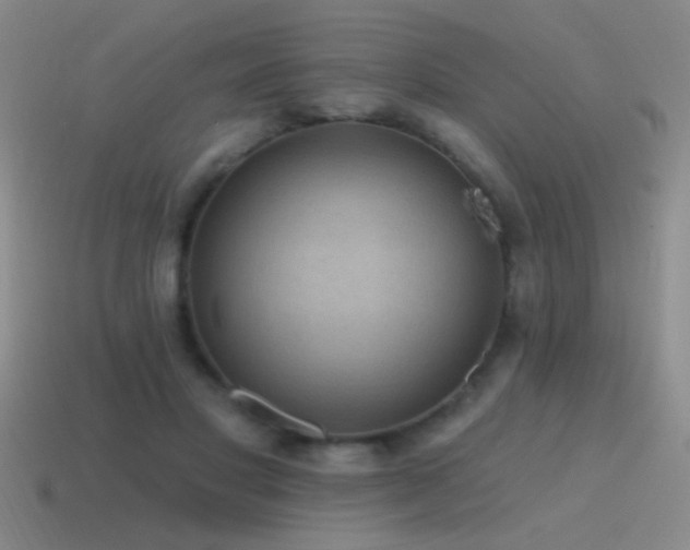 X0000115490501200911061310