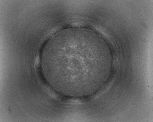 X0000115490502200911061310